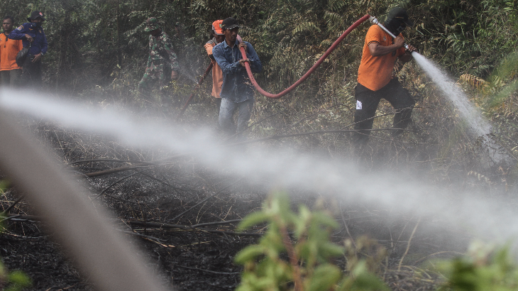 Status Kebakaran Hutan dan Lahan Darurat, Pemprov Riau Minta Bantuan BNPB