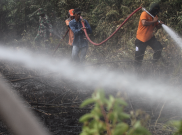 Status Kebakaran Hutan dan Lahan Darurat, Pemprov Riau Minta Bantuan BNPB