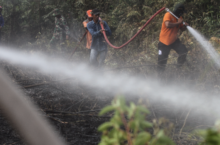 Status Kebakaran Hutan dan Lahan Darurat, Pemprov Riau Minta Bantuan BNPB