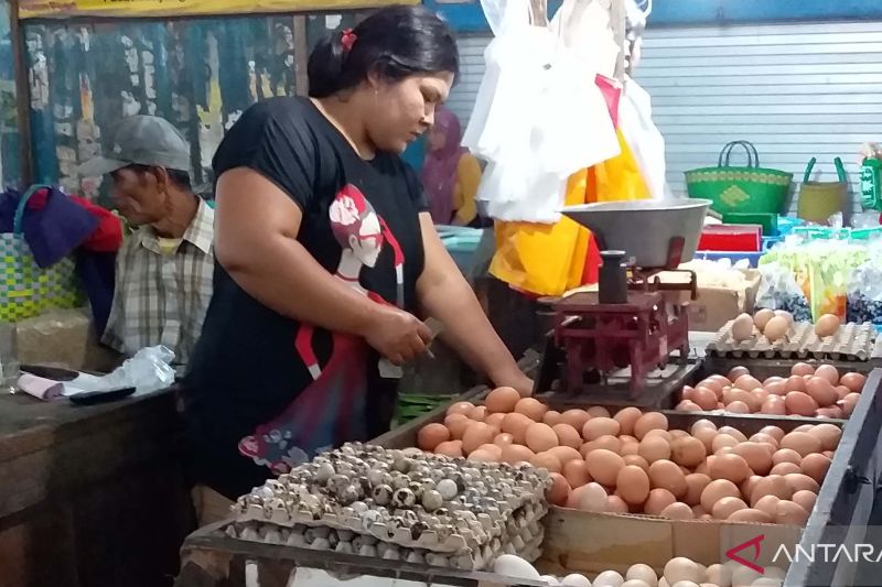 Harga Telur Terus Menanjak, di Papua Capai Rp 41.200 Per Kilogram