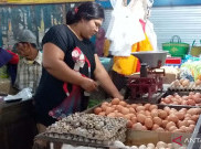 Harga Telur Terus Menanjak, di Papua Capai Rp 41.200 Per Kilogram