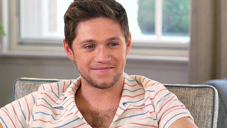  One Direction Vakum, Niall Horan Banting Setir Jadi Model