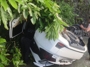 Mobilio Putih Bawa Penumpang Cewek Terjun Masuk Jurang, Untung Selamat!