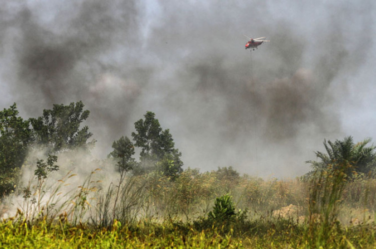 Kendala BPBD Padamkan Kebakaran Lahan Gambut di Sumatera Selatan