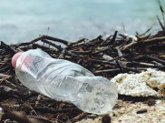 Plastik Biodegradable, Aman untuk lingkungan?