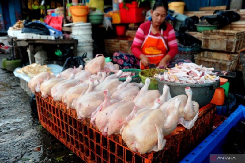 Kementerian Diperintahkan Beri Bantuan Pada Daerah Kekurangan Pangan