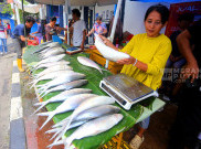 Warga Berburu Ikan Bandeng Jelang Perayaan Tahun Baru Imlek 2577 Kongzili di Rawa Belong