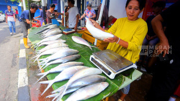 Warga Berburu Ikan Bandeng Jelang Perayaan Tahun Baru Imlek 2577 Kongzili di Rawa Belong
