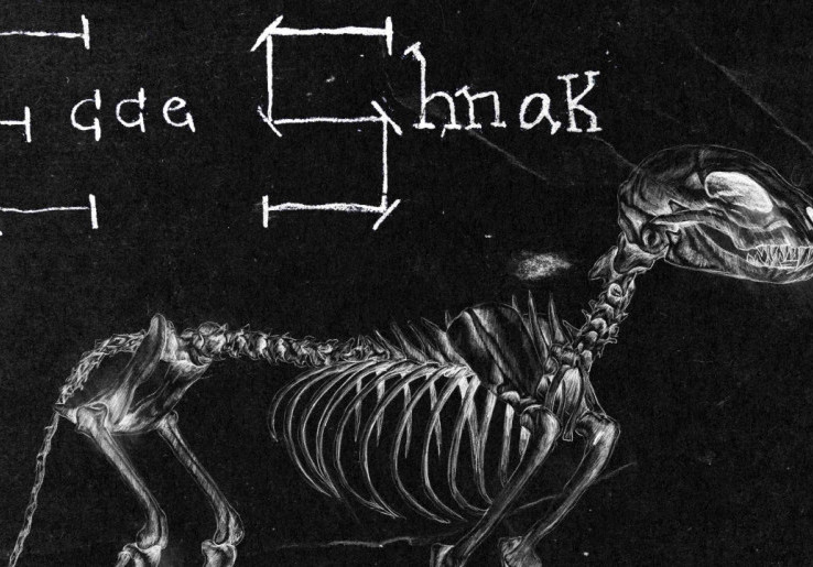 Ecce Shnak Padukan Garage Rock dan Art-Rock dalam Single Baru 'Eddie, Legalistic Homeslice'