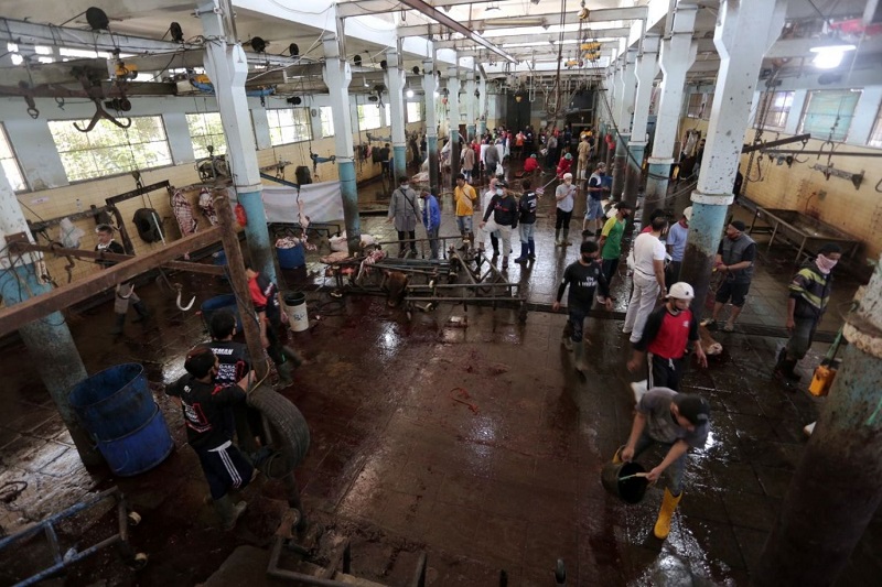 Rumah Potong Hewan. (Foto: Antara)