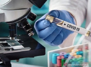 Update COVID-19 DKI Sabtu (13/6): 8.748 Orang Positif, 3.840 Pasien Sembuh
