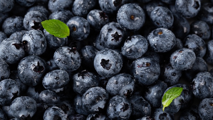 Rutin Konsumsi Blueberry Bisa Tingkatkan Kinerja Otak dan Jantung