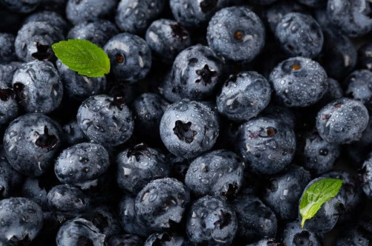 Rutin Konsumsi Blueberry Bisa Tingkatkan Kinerja Otak dan Jantung
