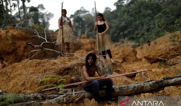 Jurnalis Inggris Hilang di Hutan Amazon