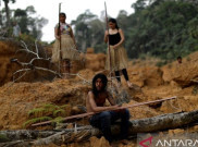 Jurnalis Inggris Hilang di Hutan Amazon