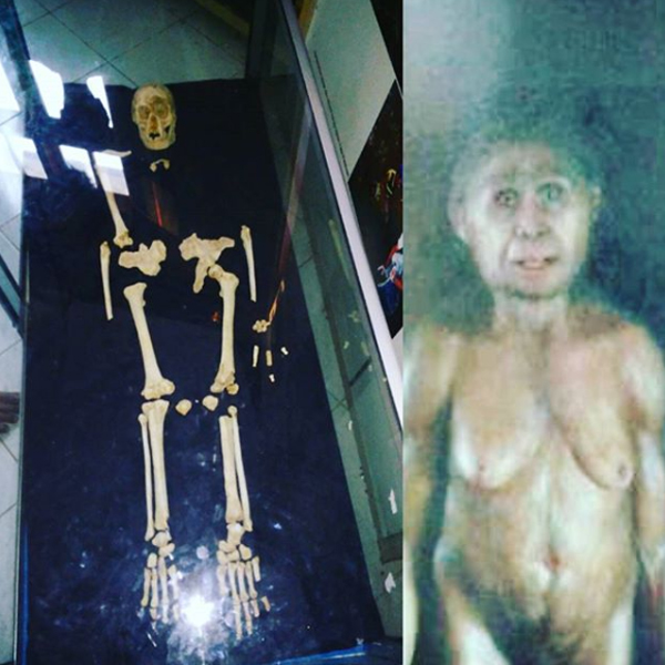 homo floresiensis