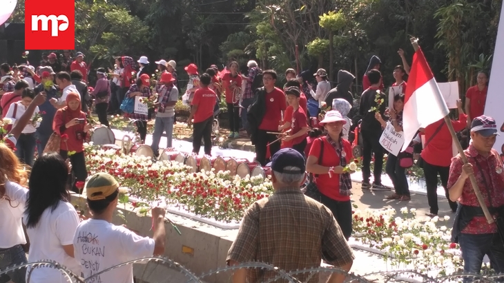  Massa Pro Ahok Gelar Aksi Simpatik Bagi-bagi Bunga Mawar