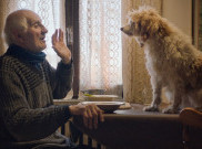 3 Film Dokumenter Terbaik 2020 