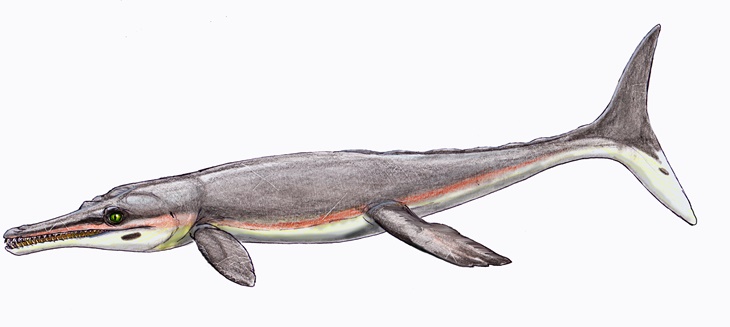 Buaya Purba Jurassic Tiru Paus untuk Mendominasi Laut