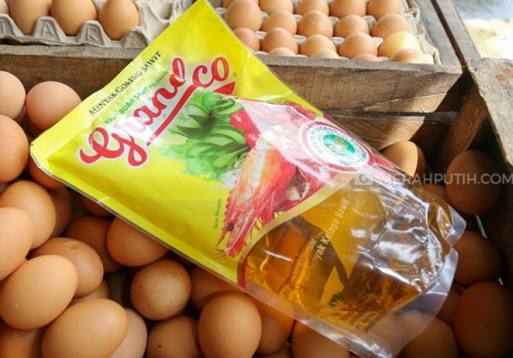 Harga Telur Ayam Naik Jadi Rp 29.250 Per Kg