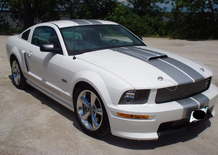 mustang