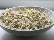 Yuk, Cari Tahu Manfaat Kesehatan Sayur Tauge