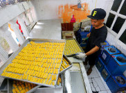 Berkah Jelang Hari Raya Idul Fitri 1447 H, Usaha Kue Kering Rumahan Banjir Orderan