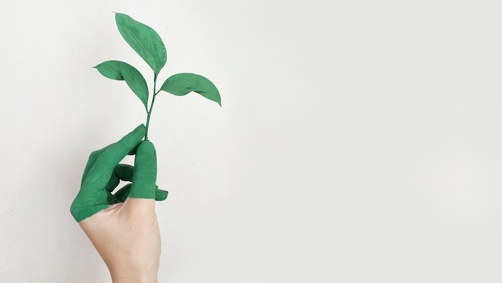 Greenwashing pada Produk Kecantikan