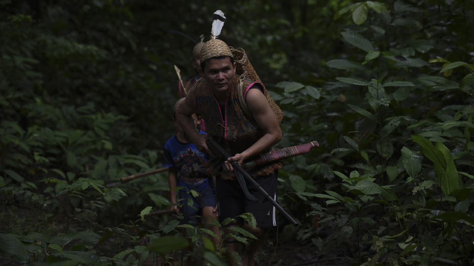Masyarakat Dayak masih menggunakan alat tradisional dalam berburu seperti mandau, sumpit, dan tombak. Namun, mereka terkadang juga menggunakan senapan. (ANTARA FOTO/Zabur Karuru)