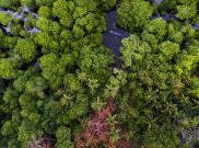 Menjaga Kehidupan di Pulau Kaledupa