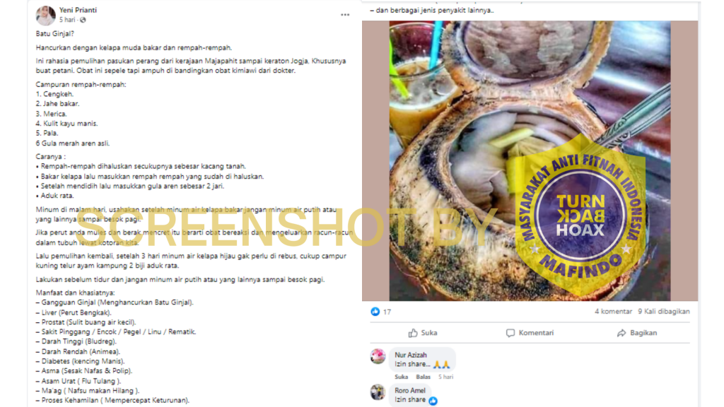 [HOAKS atau FAKTA]: Konsumsi Kelapa Muda Bakar Sembuhkan Penyakit Batu Ginjal