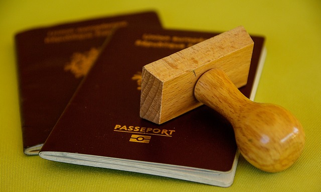 Kini Calon Pelancong Bisa Mengajukan Visa Secara Online