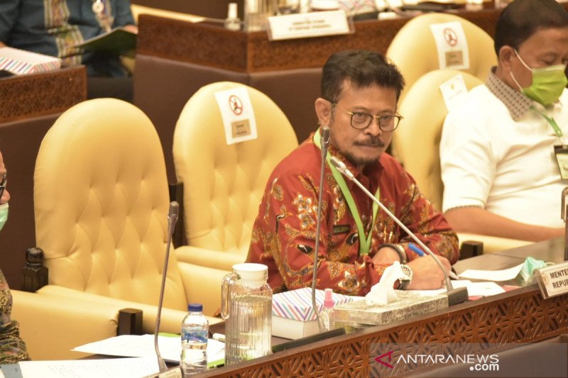 Menteri Pertanian Syahrul Yasin Limpo dalam Rapat Kerja bersama Komisi IV DPR di Jakarta, Selasa. (Kementerian Pertanian)