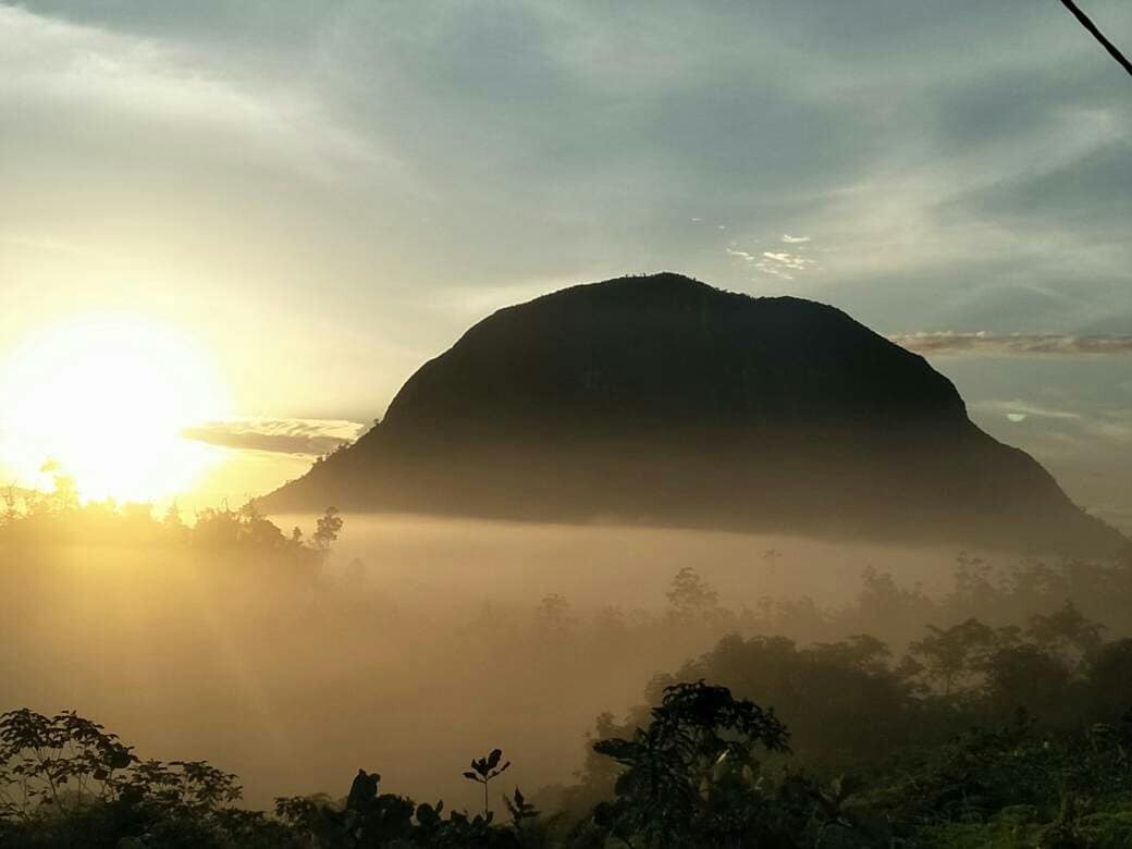 Bukit Kelam menjadi tempat hidup bagi flora dan fauna langka (Instagram/pariwisatasintang)
