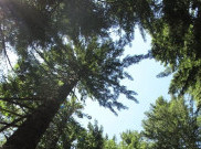 Save the Children Gelar Pentas Seni untuk Tingkatkan Kesadaran Krisis Iklim