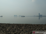 Pemprov DKI Temukan Satu Pabrik Farmasi Pelaku Pencemaran Parasetamol di Teluk Jakarta