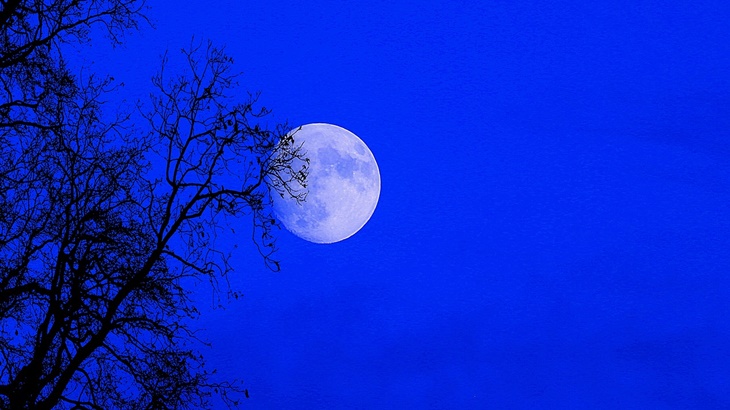 Supermoon Terakhir di Tahun 2020, Begini Cara Melihatnya