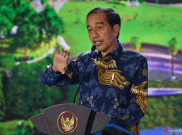 Jokowi Ungkap Pembangunan IKN Nusantara Pertama-tama Reboisasi Hutan