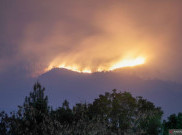 Tutup Sejak Agustus 2023, Gunung Arjuno Dibuka Lagi untuk Pendaki