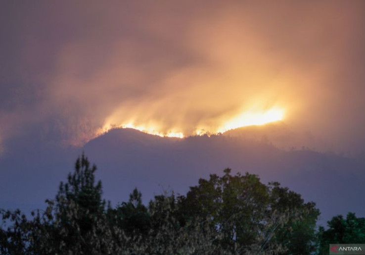 Kebakaran Hutan Gunung Arjuno Tinggal 2-3 Km dari Rumah Penduduk, Pemkab Cairkan Belanja Tidak Terduga