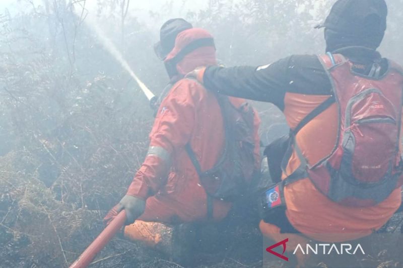Kebakaran Gambut Aceh Makin Parah, BPBD Sulit Atasi Tiupan Angin