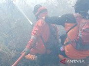 Kebakaran Gambut Aceh Makin Parah, BPBD Sulit Atasi Tiupan Angin