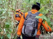 Evakuasi Darat Jasad Korban, SAR Butuh Waktu 6 Jam ke TKP Helikopter Jatuh di Kalsel