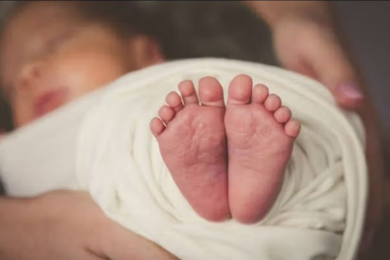 Ibu di Pesanggrahan Jadi Korban KDRT, Bayi 5 Bulan Dibawa Lari Suami