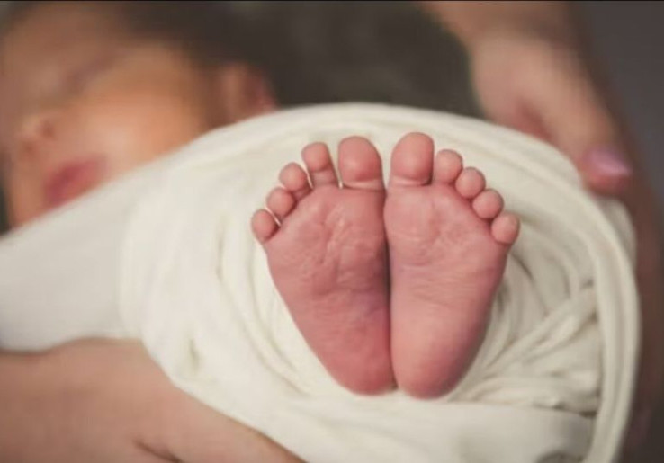 Bayi 5 Bulan Ibu Korban KDRT Dibawa Lari Suami, Polisi Anggap Kasus Selesai Kekeluargaan