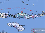 Waspada Gempa NTT Berpotensi Picu Tsunami, Tinggi Gelombang Lebih dari 3 Meter