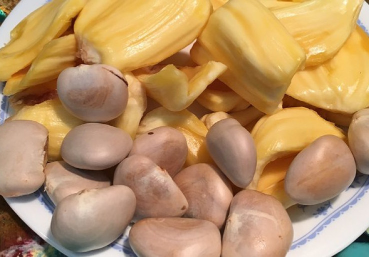 Biji Nangka Meredakan Rambut Rontok