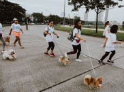 Ajang Jalan Santai Dengan Anjing Kesayangan