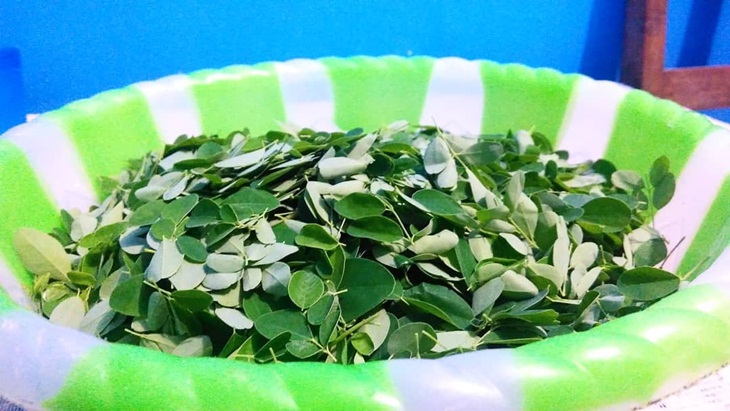 Daun kelor. (Foto: instagram.com/saddam_pasific)