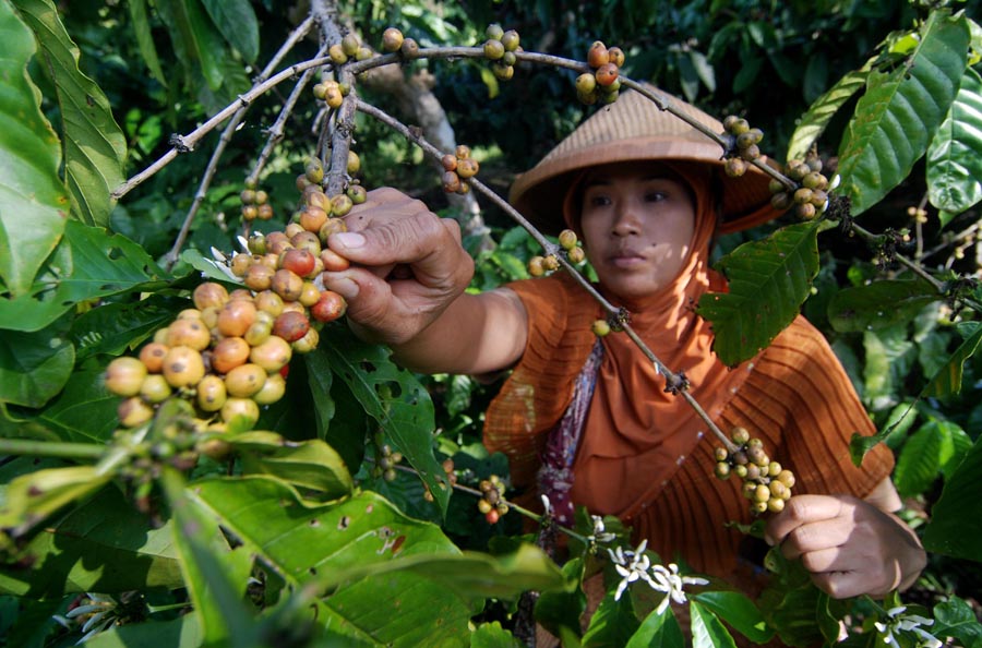 Yuk, Berwisata Sambil Menikmati Sedapnya